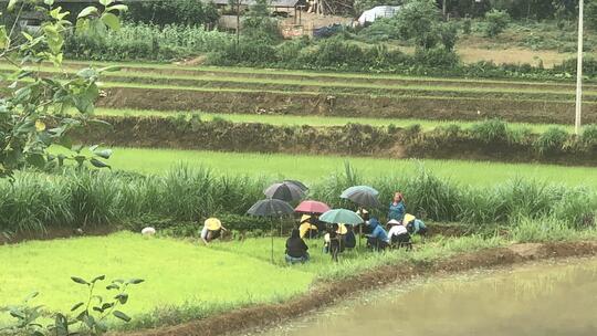 <a href="/tin-tuc-su-kien/tin-van-hoa-xa-hoi" title="Tin Văn hóa - Xã hội" rel="dofollow">Tin Văn hóa - Xã hội</a>